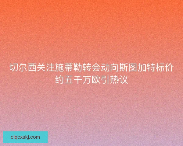 切尔西关注施蒂勒转会动向斯图加特标价约五千万欧引热议