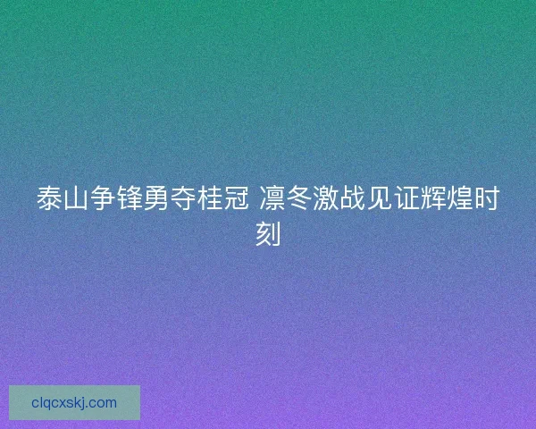 泰山争锋勇夺桂冠 凛冬激战见证辉煌时刻 泰山争锋勇夺桂冠 凛冬激战见证辉煌时刻